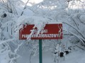 Przyroda