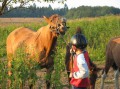 Przygoda Konna 2010