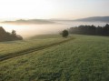 Przygoda Konna 2010