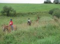 Przygoda Konna 2010