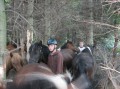 Przygoda Konna 2010