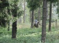 Przygoda Konna 2010