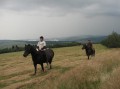Przygoda Konna 2010