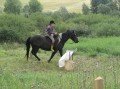 Przygoda Konna 2010