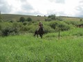 Przygoda Konna 2010
