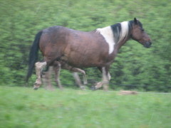 img_5391_1_1