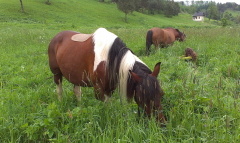 imag5935_1
