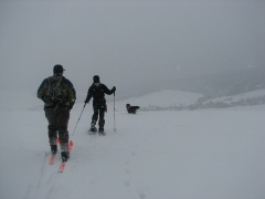 img_0019_1