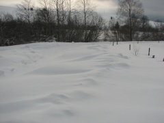 img_0055_1