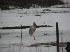 img_0224_1