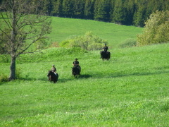 img_0388_1