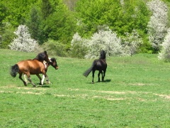 img_0410_1
