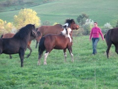 img_0509_1