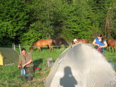 img_0512_1