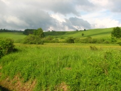 img_0901_1