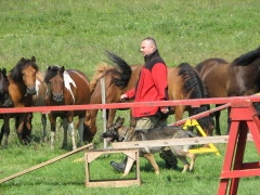 img_1077_1