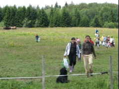 img_1200m_1