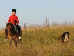 img_1455m_1