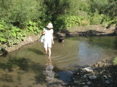 img_1784_1
