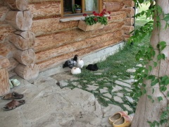 img_1885_1