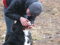 img_2952_1