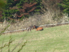 img_3276m_1