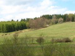 img_3284m_1