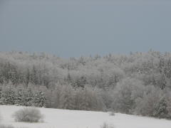 img_3309_1
