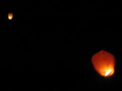 img_3464m_1