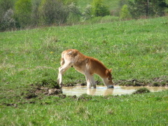 img_4122_1_01