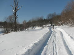 img_4516_1