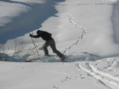 img_4519_1