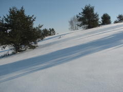 img_4545_1