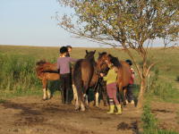 JPG_5388_1