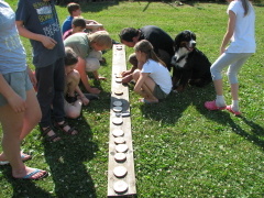 img_5519_1