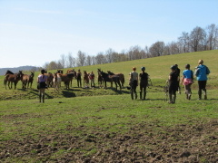 img_5545_1