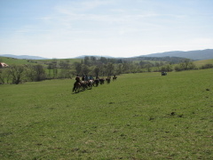 img_5594_1