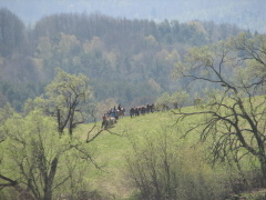 img_5605_1
