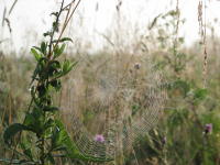 img_5681_1