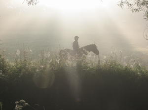 img_5699_1_01