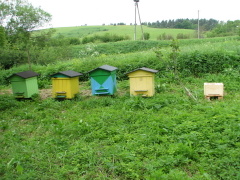 img_5967_1