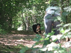 img_6126_1