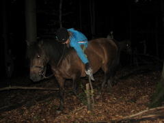 img_7093_1