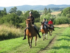 img_7250_1_01
