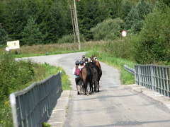 img_7659_1_01