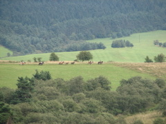 img_7680_1