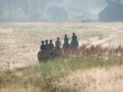 img_7936_1