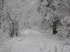 img_8047_1