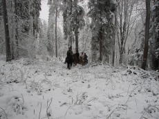 img_8049_1