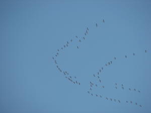img_8627_1